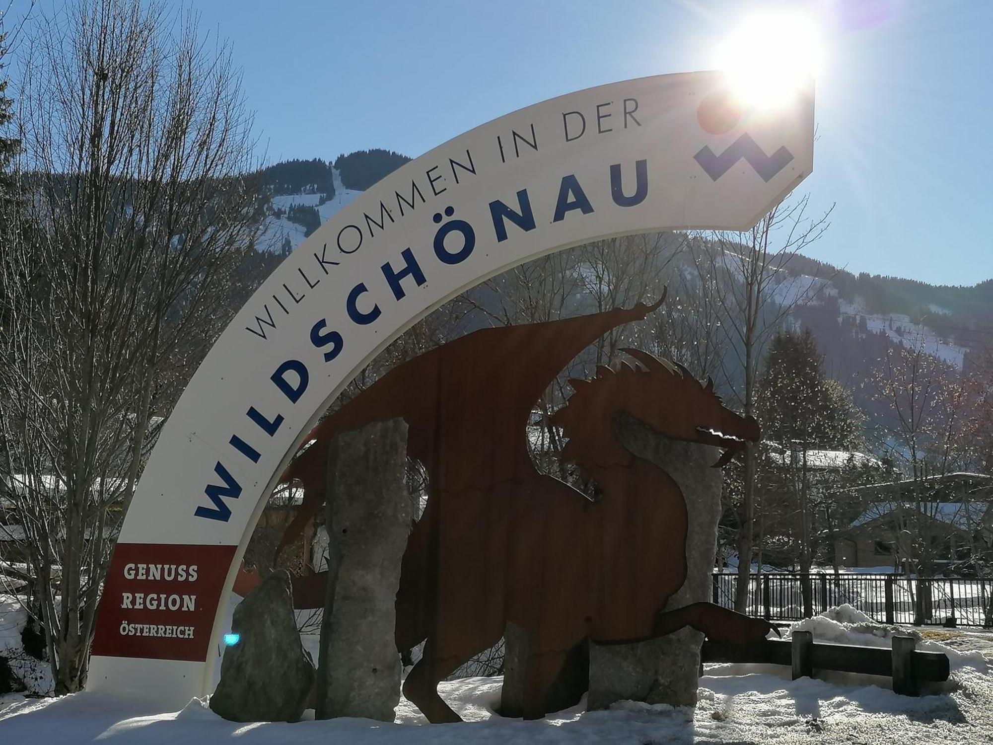 Gittis Ferienwohnung Panorama Wild31 Bernau  Экстерьер фото